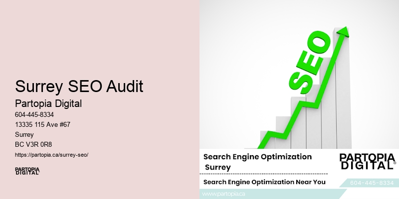 Surrey SEO Audit